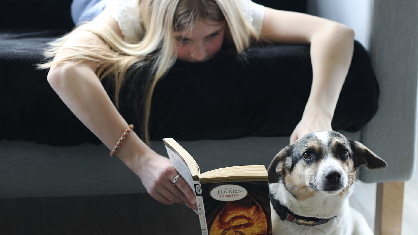 Why the Fire Demon Saga by Stephanie Colbert Is a Must-Read for Fantasy Lovers